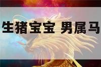 男属羊女属马生猪宝宝 男属马女属羊生虎年宝宝好吗