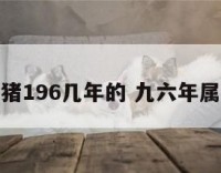 属猪196几年的 九六年属猪