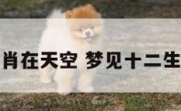梦见十二生肖在天空 梦见十二生肖齐聚我家