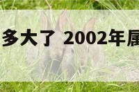 2002属羊多大了 2002年属羊的多大岁数