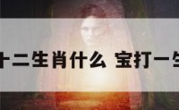 宝字指十二生肖什么 宝打一生肖动物