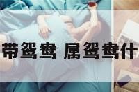 属蛇的带鸳鸯 属鸳鸯什么意思