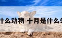 10月是什么动物 十月是什么生肖动物