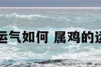 属鸡的运气如何 属鸡的运势怎样