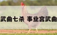 大运事业宫武曲七杀 事业宫武曲七杀好不好