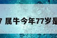 属牛今年7 属牛今年77岁是几几年的