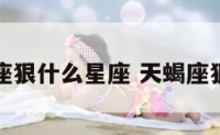 天蝎座狠什么星座 天蝎座狠不狠