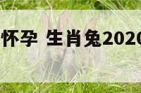 属兔2016怀孕 生肖兔2020年怀孕运势