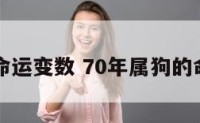 70属狗命运变数 70年属狗的命运财运