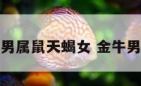 属猴金牛男属鼠天蝎女 金牛男和金猴女