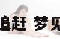 解梦被秃鹰追赶 梦见被秃鹰追赶