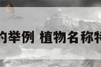 植物名字的举例 植物名称特点和用途