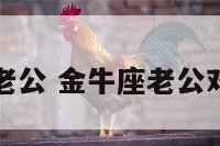 恨金牛座老公 金牛座老公对老婆好吗