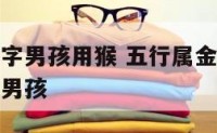 五行属金的字男孩用猴 五行属金最吉利简单好听的名字男孩