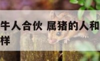 属猪人和属牛人合伙 属猪的人和属牛的人合作生意怎么样