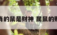 十二生肖的鼠是财神 属鼠的财神是谁