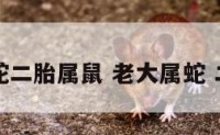 一胎属蛇二胎属鼠 老大属蛇 二胎属鼠