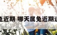 哪天属兔近期 哪天属兔近期运势最好