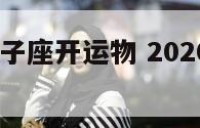 2017年双子座开运物 2020年双子座幸运数字