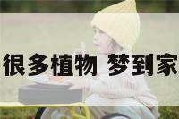 做梦家里长了很多植物 梦到家里长满了植物