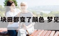 梦见整块田都变了颜色 梦见一块田