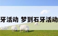 梦到下石牙活动 梦到石牙活动什么意思