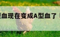 以前是B型血现在变成A型血了 b型血突然变a型血