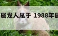 1988年属龙人属于 1988年属龙的属性