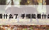 手相能看什么了 手相能看什么了图片