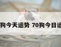 70狗今天运势 70狗今日运势