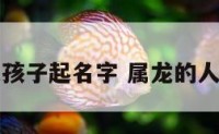 属龙孩子起名字 属龙的人取名