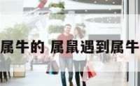 属鼠追属牛的 属鼠遇到属牛的财运