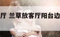 兰草可放客厅 兰草放客厅阳台边好还是防护栏上好