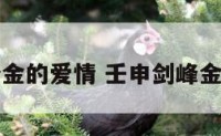 壬申剑锋金的爱情 壬申剑峰金八字纳音
