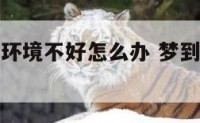 梦见别人家环境不好怎么办 梦到别人家很穷好不好