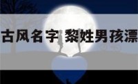 姓黎的男孩古风名字 黎姓男孩漂亮有涵养的名字
