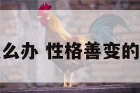性格善变怎么办 性格善变的动物有哪些