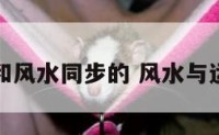 人的运势和风水同步的 风水与运气与人品