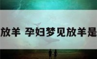 孕妇梦见放羊 孕妇梦见放羊是什么预兆