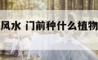 门前植物与风水 门前种什么植物风水好又旺财
