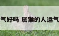 属猴生肖运气好吗 属猴的人运气不好怎么办