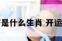 开运符是什么生肖 开运符图片