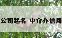 信用卡中介公司起名 中介办信用卡判刑案例