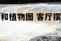 客厅摆放植物和植物图 客厅摆放鱼缸的最佳位置