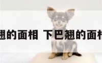 下巴翘的面相 下巴翘的面相女人