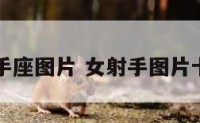 女孩射手座图片 女射手图片卡通图片