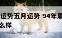 94年属狗运势五月运势 94年属狗运势五月运势怎么样