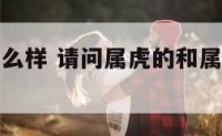 属虎和龙怎么样 请问属虎的和属龙的相配怎么样