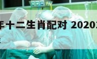 2020年十二生肖配对 202012生肖对照表