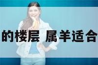 属羊最忌的楼层 属羊适合哪些楼层